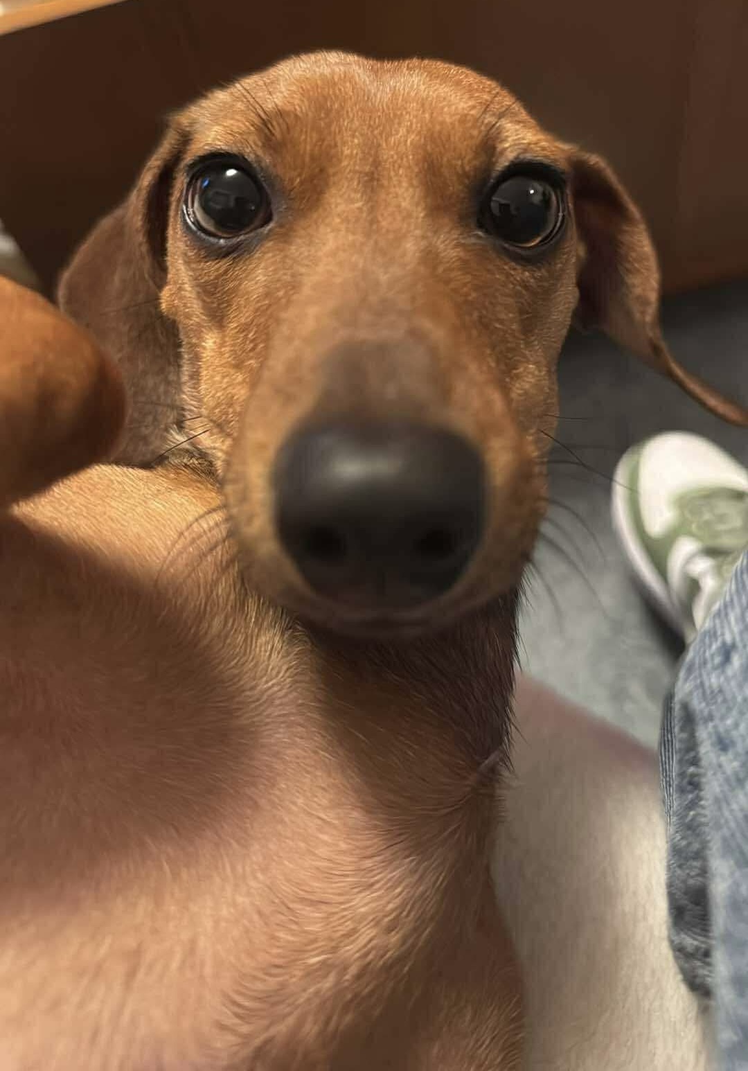 3a4f7c8ccb199c0b82538d39d50a204b